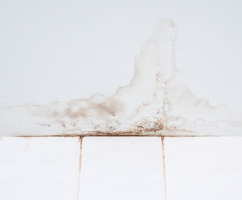 Bathroom Water Damage Repair in Denver County, CO