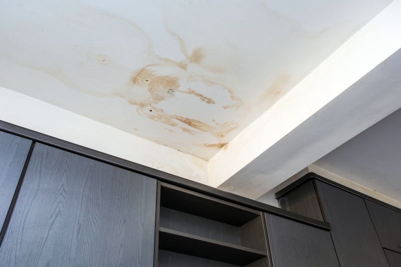 Leaking Ceiling Repair in Houston, TX