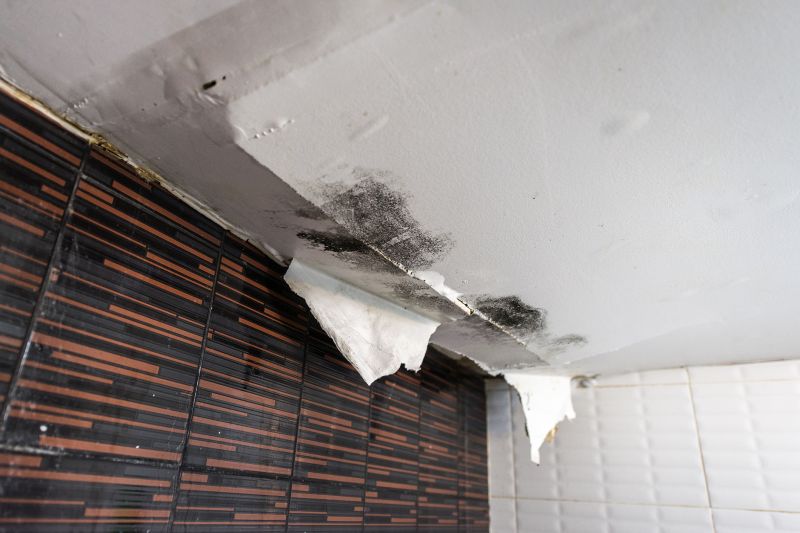 Water Damage Ceiling Repair in Charleston, SC